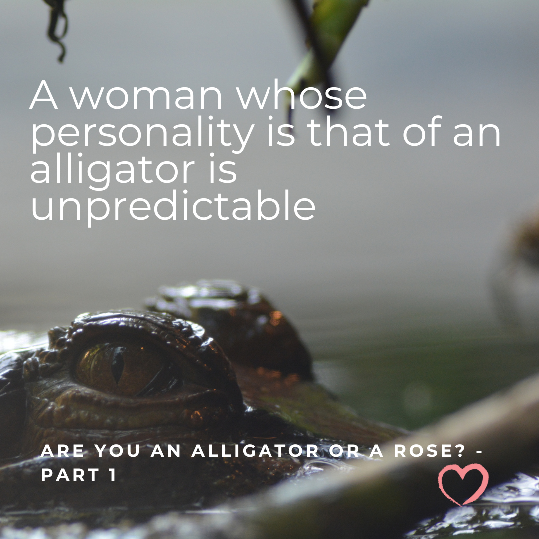 Alligators & Roses
