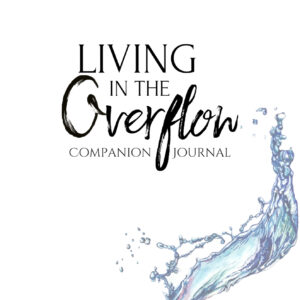 Living in the Overflow: Companion Journal