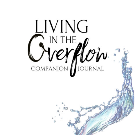 DRAFT companion journal living in the overflow