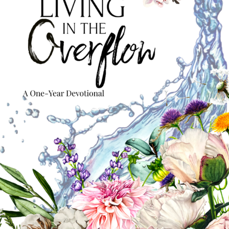 Living In The Overflow_ Table of Contentsforewardhowto Living In The Overflow_ Table of Contentsforewardhowto