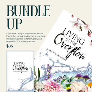 Living In The Overflow Bundle